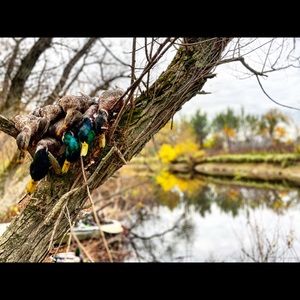 Meet your Posher, Jackson